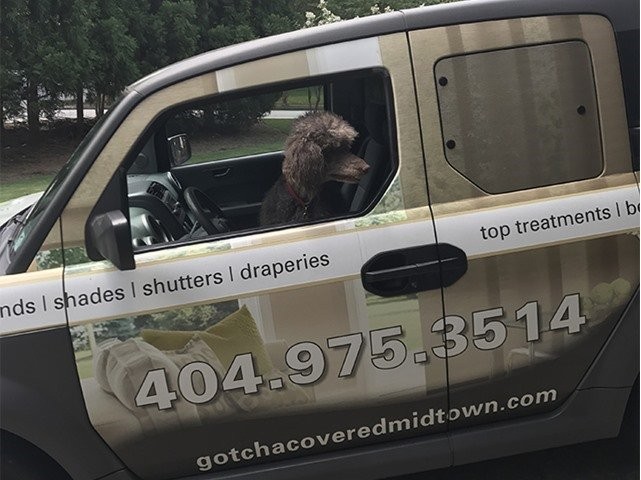 Hunter Douglas Dealer Image